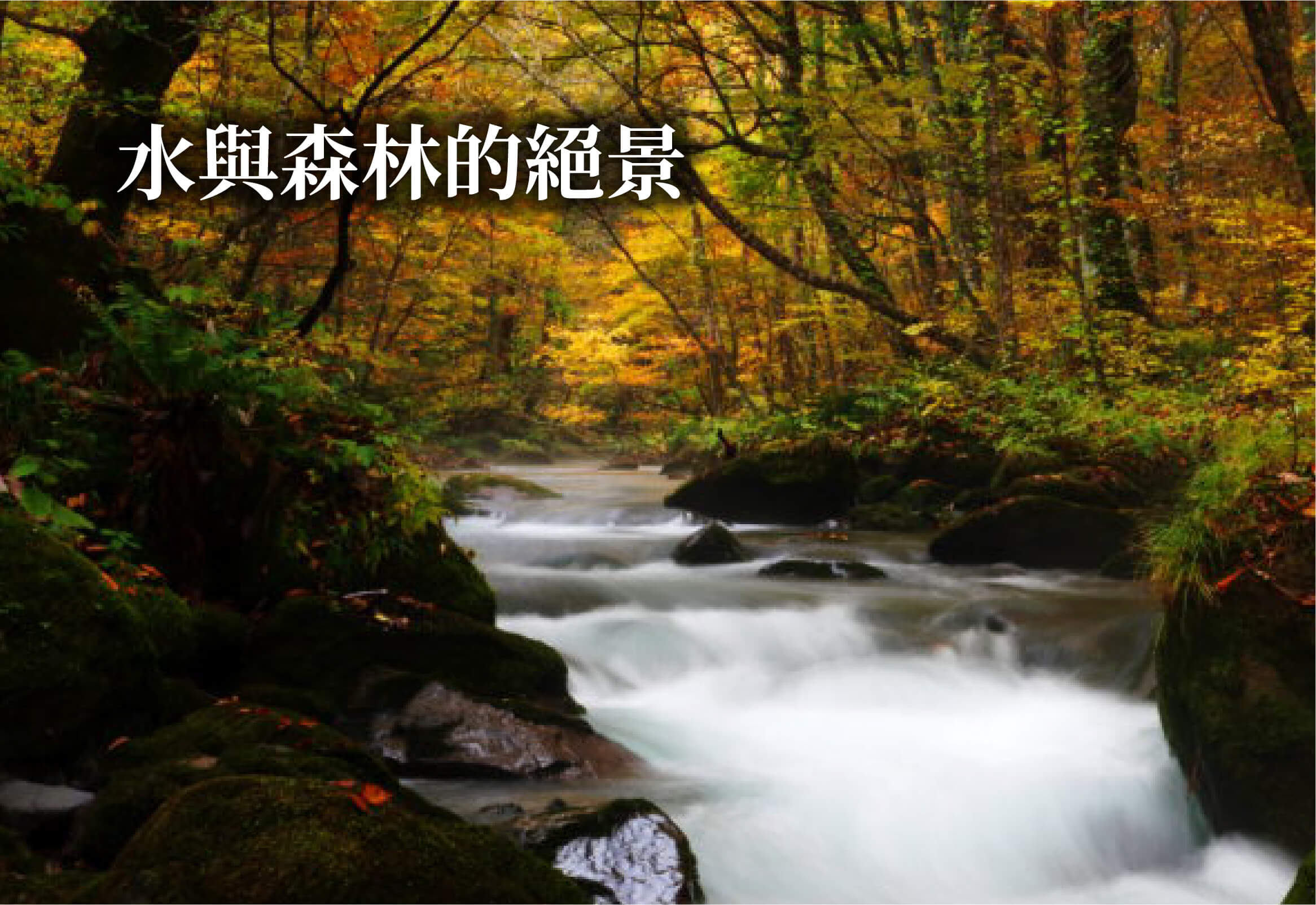 水與森林的絕景